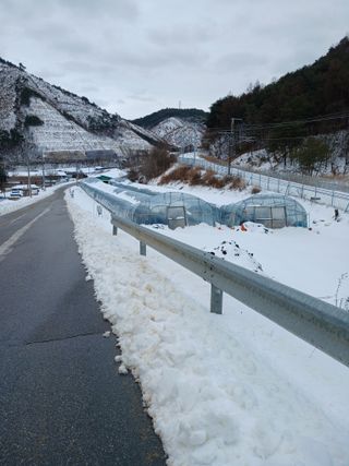 거촌어른님의 기타작물 · 영농일지 작성글 사진