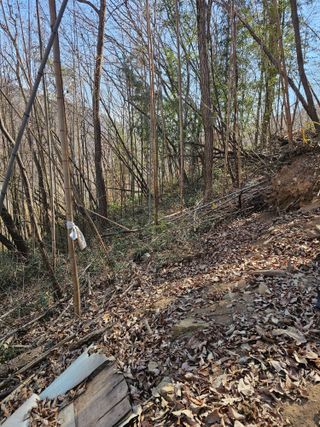 산삼님의 기타작물 · 영농일지 작성글 사진