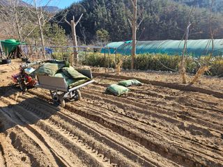 연모 자연의행복님의 기타작물 · 영농일지 작성글 사진