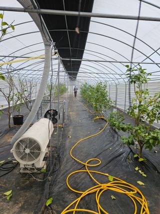 박미라님의 기타작물 · 영농일지 작성글 사진