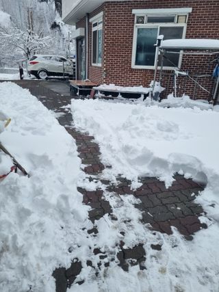 김용대님의 기타작물 · 영농일지 작성글 사진