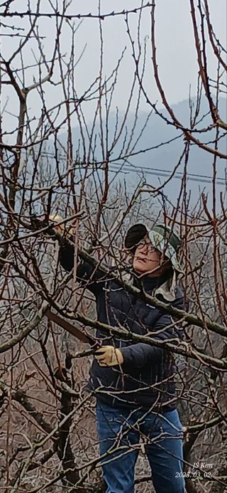 엄성열님의 기타작물 · 영농일지 작성글 사진