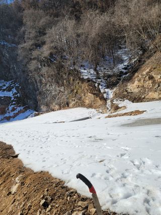 산솔바람님의 기타작물 · 영농일지 작성글 사진