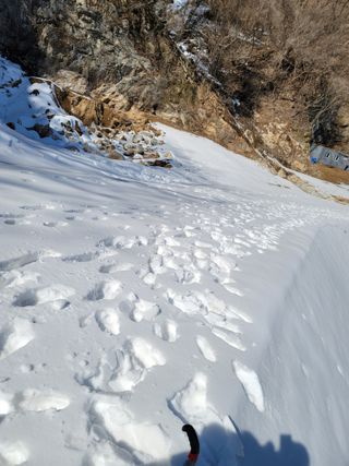 산솔바람님의 기타작물 · 영농일지 작성글 사진