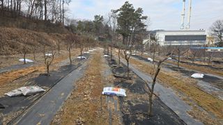 이병희님의 기타작물 · 영농일지 작성글 사진