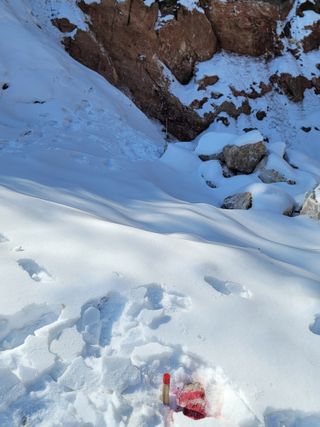 산솔바람님의 기타작물 · 영농일지 작성글 사진