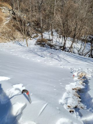 산솔바람님의 기타작물 · 영농일지 작성글 사진