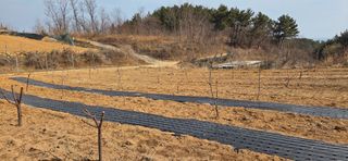 보민님의 기타작물 · 영농일지 작성글 사진