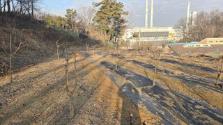 이병희님의 기타작물 · 영농일지 작성글 사진