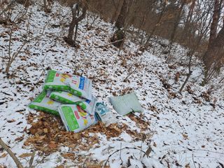 감자15881님의 기타작물 · 영농일지 작성글 사진