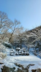 팜모닝 기타작물·영농일지 게시글 이미지