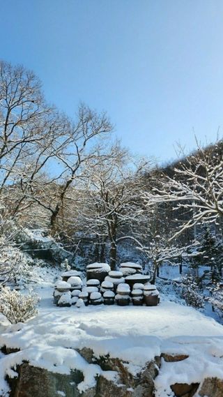 태능김동수님의 기타작물 · 영농일지 작성글 사진