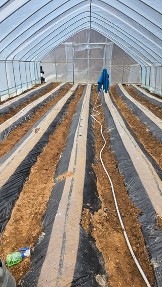 정태권님의 기타작물 · 영농일지 작성글 사진