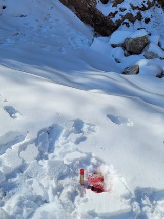 산솔바람님의 기타작물 · 영농일지 작성글 사진