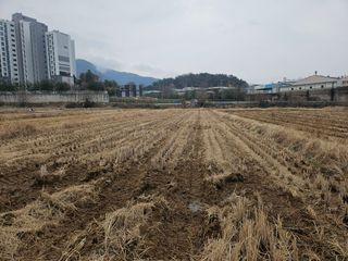 우경원님의 벼 · 영농일지 작성글 사진