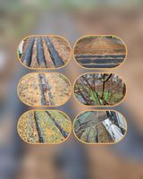 팜모닝 기타작물·영농일지 게시글 이미지