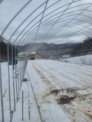 신경여님의 기타작물 · 영농일지 작성글 사진