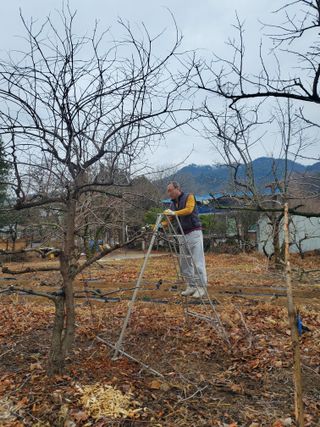 친환경세상만들기님의 기타작물 · 영농일지 작성글 사진