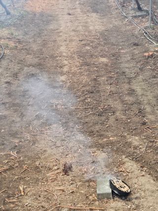 전진원님의 포도 · 영농일지 작성글 사진