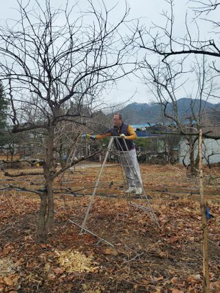 친환경세상만들기님의 기타작물 · 영농일지 작성글 사진