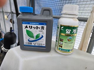 전진원님의 포도 · 영농일지 작성글 사진