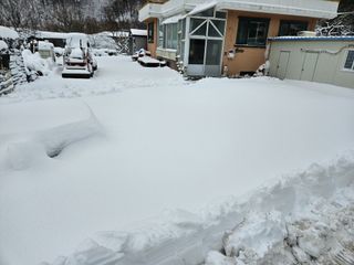 내땅님의 기타작물 · 영농일지 작성글 사진