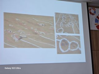 공주유구 구계박만호님의 기타작물 · 영농일지 작성글 사진