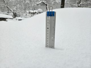 내땅님의 기타작물 · 영농일지 작성글 사진