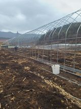 팜모닝 기타작물·영농일지 게시글 이미지