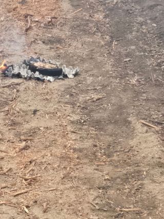 전진원님의 포도 · 영농일지 작성글 사진