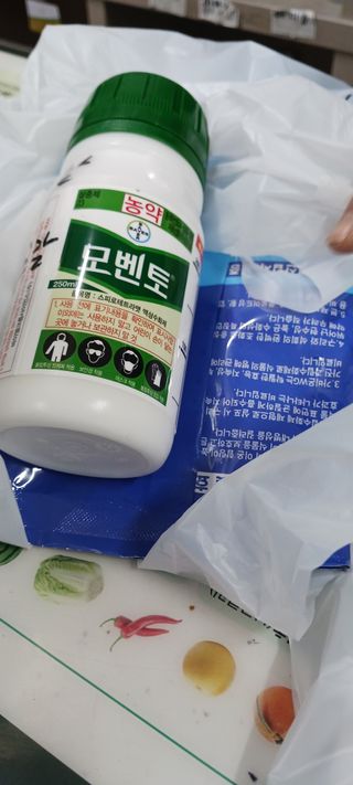 김 연님의 기타작물 · 영농일지 작성글 사진