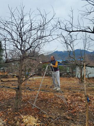 친환경세상만들기님의 기타작물 · 영농일지 작성글 사진