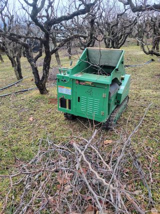 정택님의 기타작물 · 영농일지 작성글 사진