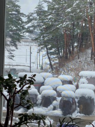 황대헌님의 기타작물 · 영농일지 작성글 사진