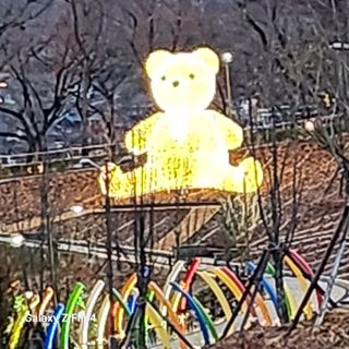 맹태임님의 기타작물 · 영농일지 작성글 사진