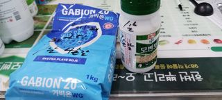 김 연님의 기타작물 · 영농일지 작성글 사진