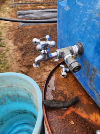 차태현님의 기타작물 · 영농일지 작성글 사진