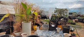 원스피릿팜님의 기타작물 · 영농일지 작성글 사진