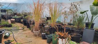 원스피릿팜님의 기타작물 · 영농일지 작성글 사진