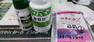 김 연님의 기타작물 · 영농일지 작성글 사진