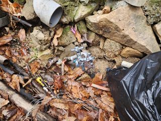 차태현님의 기타작물 · 영농일지 작성글 사진