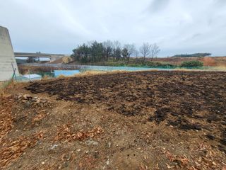 김상구님의 기타작물 · 영농일지 작성글 사진