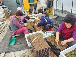 함영동님의 기타작물 · 영농일지 작성글 사진