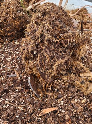 밀양달콤팜님의 기타작물 · 영농일지 작성글 사진