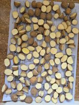 팜모닝 기타작물·영농일지 게시글 이미지