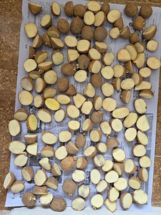 용담님의 기타작물 · 영농일지 작성글 사진