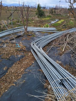 식만동 복합영농님의 기타작물 · 영농일지 작성글 사진