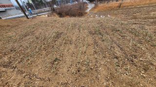 괴동조합장님의 기타작물 · 영농일지 작성글 사진