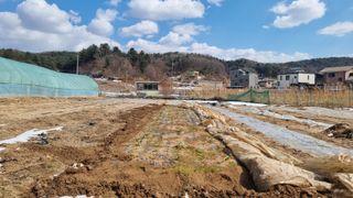 김윤회님의 마늘 · 영농일지 작성글 사진