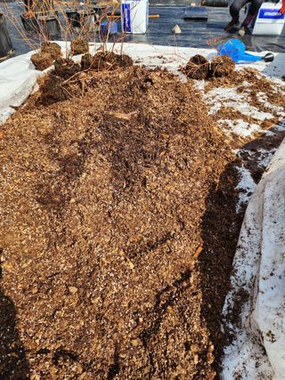 밀양달콤팜님의 기타작물 · 영농일지 작성글 사진